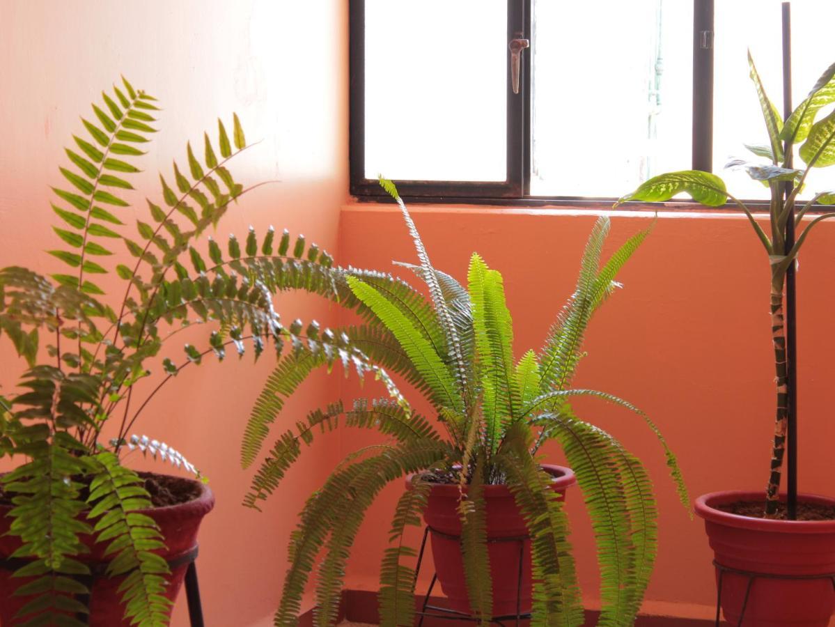 Oaxaca Hotel Galaxia מראה חיצוני תמונה